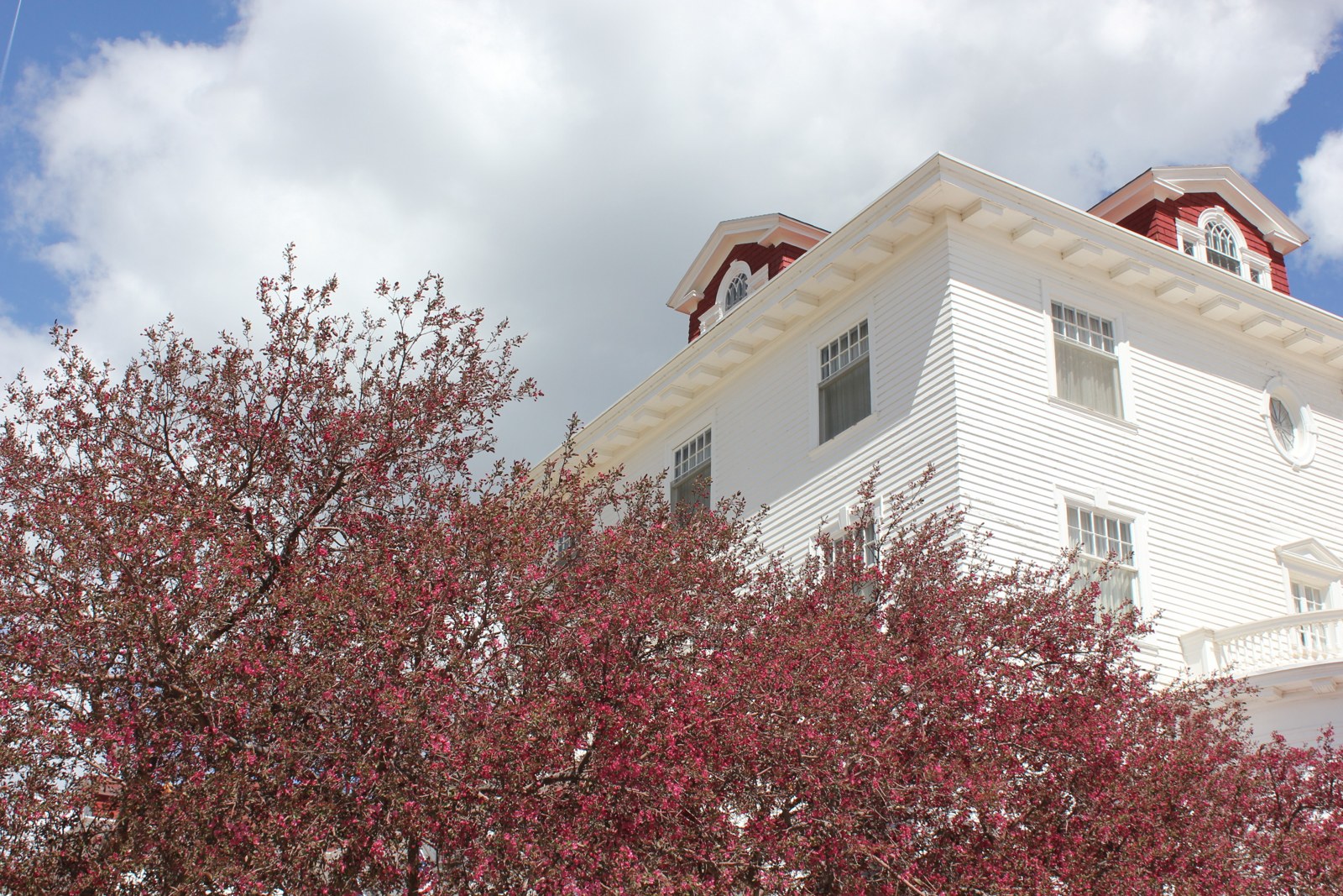 The Stanley Hotel photographed in spring, with flowering trees beside the white building.